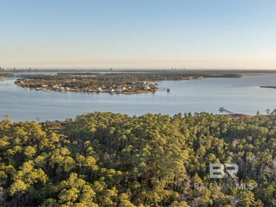 This versatile unzoned waterfront tract on the Bon Secour River - photo 7