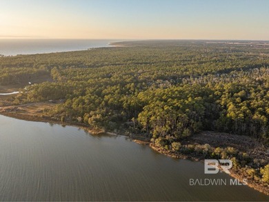 This versatile unzoned waterfront tract on the Bon Secour River - photo 8