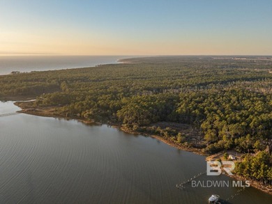 This versatile unzoned waterfront tract on the Bon Secour River - photo 9