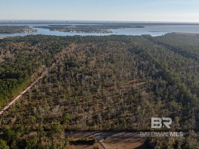 This versatile unzoned waterfront tract on the Bon Secour River - photo 10