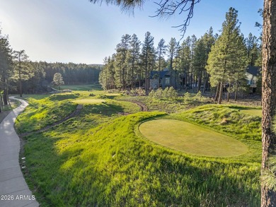 Looking for a house in Flagstaff Forest Highland to move into - photo 41