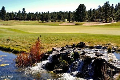 Looking for a house in Flagstaff Forest Highland to move into - photo 42