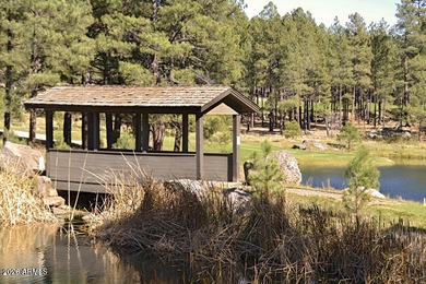 Looking for a house in Flagstaff Forest Highland to move into - photo 45