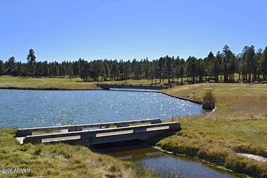 Looking for a house in Flagstaff Forest Highland to move into - photo 48