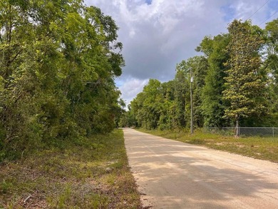 Suwannee River Acreage For Sale in Old Town Florida