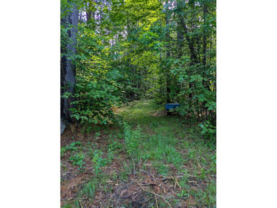 Lake Acreage Active Under Contract in Grafton, New Hampshire