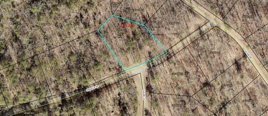 Coosawattee River - Gilmer County Lot For Sale in Ellijay Georgia