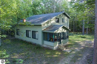Devereaux Lake Home For Sale in Indian River Michigan