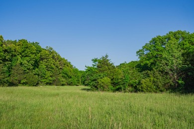 80 acres set up for more than just living... this is where land - photo 15