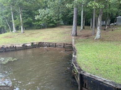 Experience lake living at its finest with this beautifully - photo 9