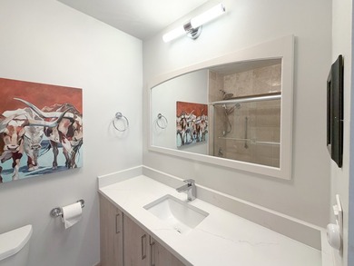 Beautiful rehabbed 1 bed/1 bath condo on the 19th floor with - photo 8