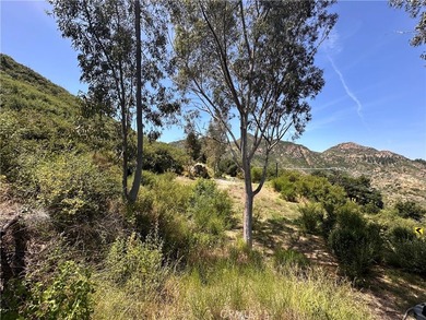 Unrivaled Canyon Living Meets Coastal Convenience. Discover the - photo 12