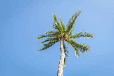 Oceanfront Property! Easy to Show Beautifully upgraded corner - photo 23