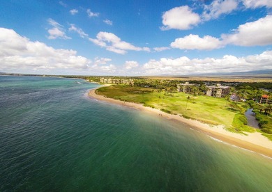 Oceanfront Property! Easy to Show Beautifully upgraded corner - photo 25