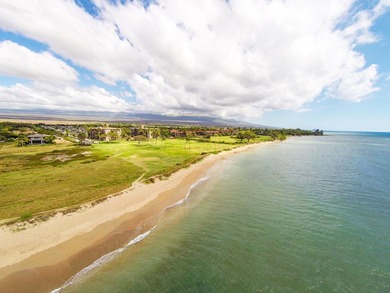 Oceanfront Property! Easy to Show Beautifully upgraded corner - photo 28