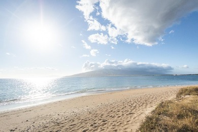 Oceanfront Property! Easy to Show Beautifully upgraded corner - photo 30