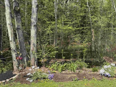 This Lake Winnipesaukee Access Home is waiting for you! The - photo 41