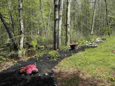 This Lake Winnipesaukee Access Home is waiting for you! The - photo 42