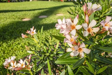 Oceanfront Property! Easy to Show Beautifully upgraded corner - photo 42
