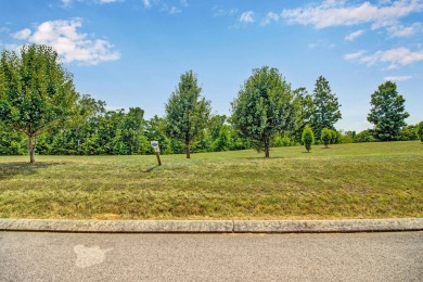 Lake Lot For Sale in Spring City, Tennessee