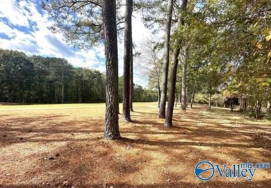 Golf course lot perfectly positioned along the 12th fairway of - photo 5