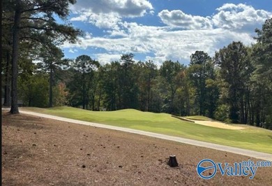 Golf course lot perfectly positioned along the 12th fairway of - photo 7