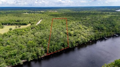 Lake Acreage Sale Pending in Bell, Florida