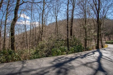 Located on a quiet street within the gated community of Old - photo 6
