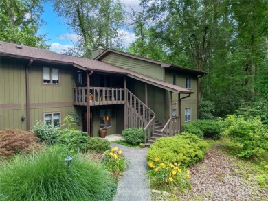 Lake Condo ActiveUnderContr in Brevard, North Carolina