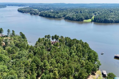 Welcome to The Preserve at Lay Lake, a premier gated community - photo 11