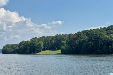 Welcome to The Preserve at Lay Lake, a premier gated community - photo 18