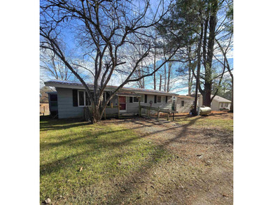 Lake Home For Sale in Beaverton, Michigan