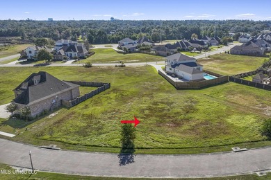 Great lot in desirable location- Goose Pointe Subd. - Centrally - photo 2