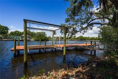 PRIME WATERFRONT Opportunity in Ruskin - Residential or - photo 6