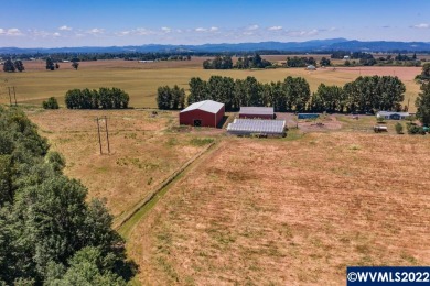 Willamette River - Benton County  Home For Sale in Junction City Oregon