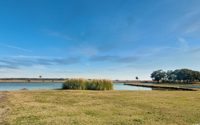 Welcome to Pheasant Loop in beautiful Belle Isle! This stunning - photo 23