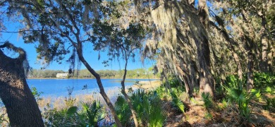 Lake Lot For Sale in Ocklawaha, Florida