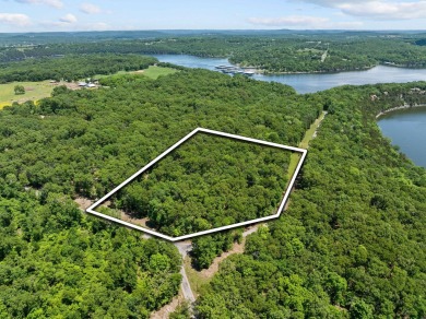 Lake Acreage For Sale in Golden, Missouri