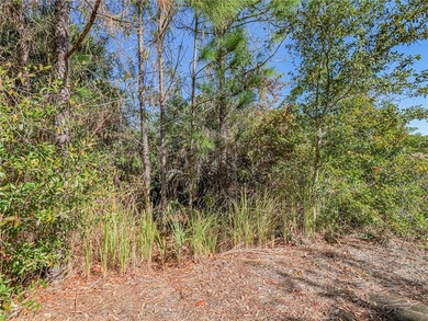 Welcome to your ideal opportunity to own a piece of Florida - photo 3