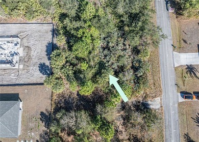 Welcome to your ideal opportunity to own a piece of Florida - photo 4