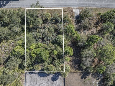 Welcome to your ideal opportunity to own a piece of Florida - photo 5