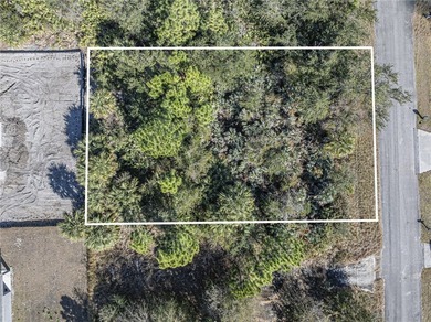 Welcome to your ideal opportunity to own a piece of Florida - photo 8