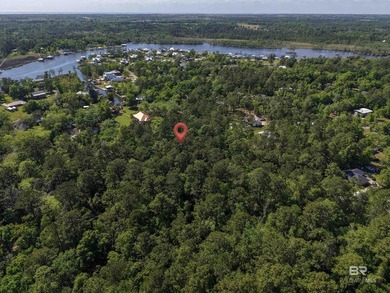 This property is lot 1. Lots 2-6 are also for sale. This - photo 10