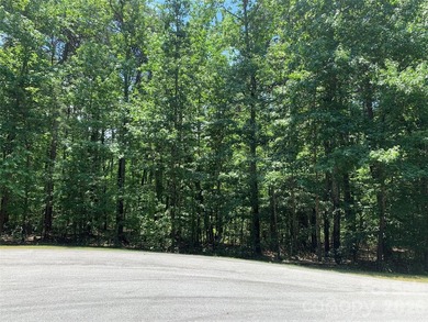 Build your dream home or the perfect lake retreat in the - photo 1