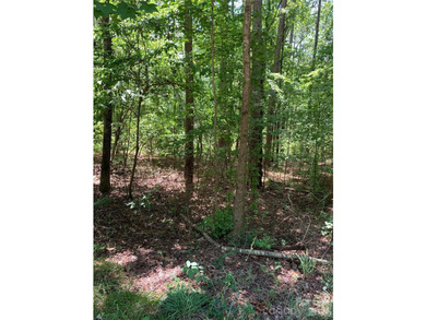 Build your dream home or the perfect lake retreat in the - photo 2