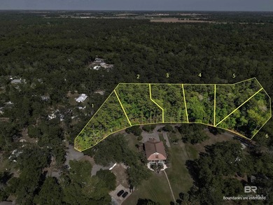 This property is lot 2. Lots 1, 3, 4, 5, 6 are also for sale - photo 1
