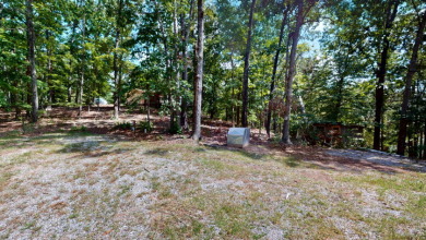 Home with 3.2 acres near lake with 3 campsites. - photo 25