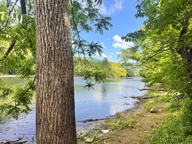 RARE NEW RIVER WATERFRONT OPPORTUNITY - 2.85 ACRES IN NEW RIVER - photo 5