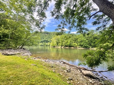 RARE NEW RIVER WATERFRONT OPPORTUNITY - 2.85 ACRES IN NEW RIVER - photo 9