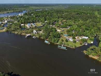This property is lot 3. Lots 1, 2, 4, 5, 6 are also for sale - photo 9